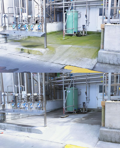 Moss Control before and after