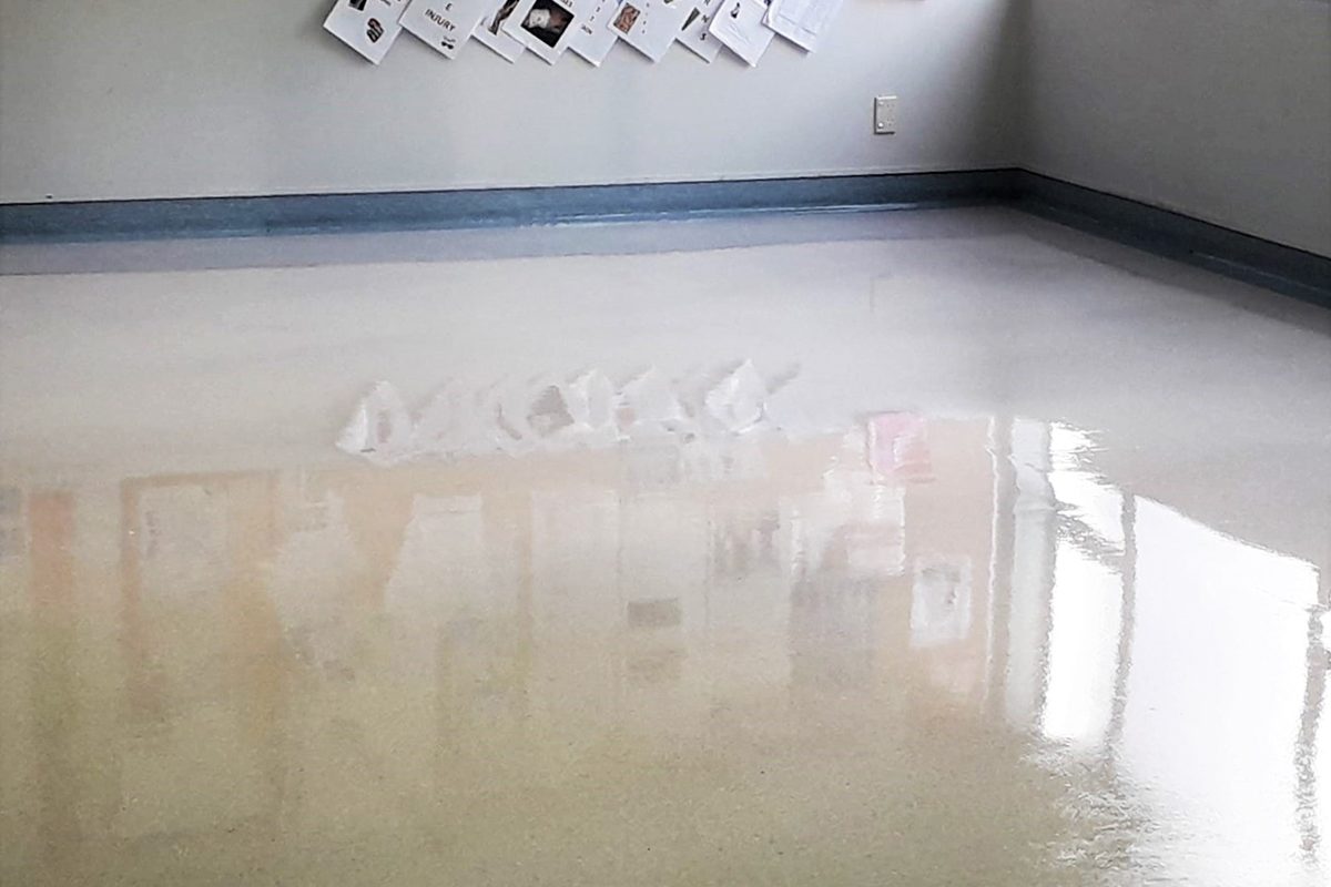Vinyl Floor Polishing